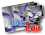 flickr0.jpg
